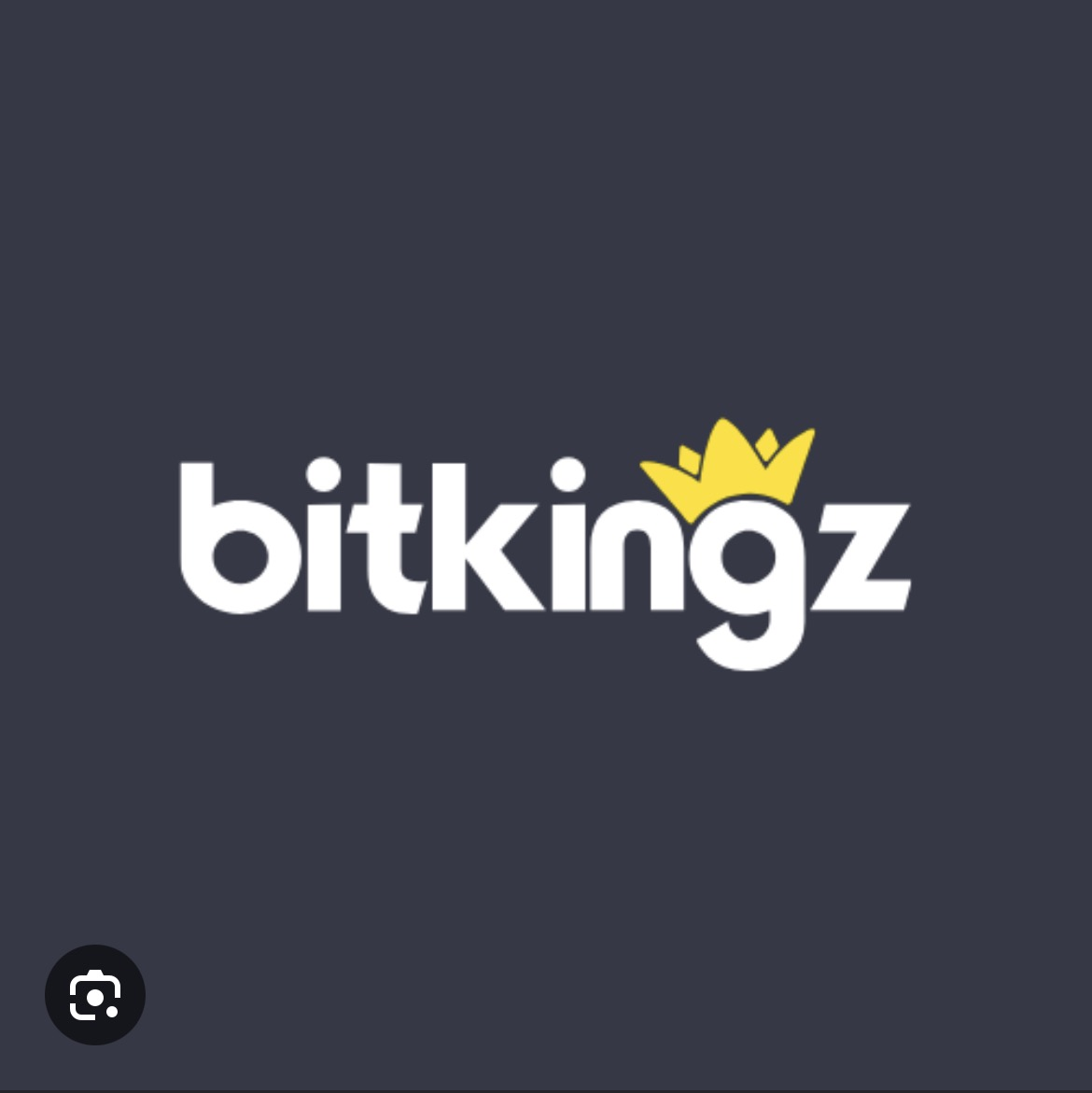 BitKingz Logo